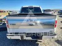 2010 Ford F-150 фото