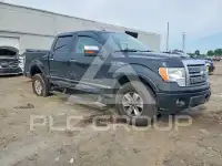2010 Ford F-150 фото