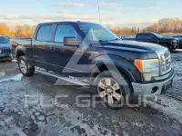 2010 Ford F-150 фото