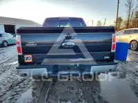 2010 Ford F-150 фото