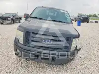 2010 Ford F-150 photo