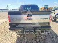2010 Ford F-150 фото