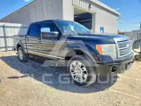 2010 Ford F-150 фото