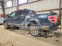 2010 Ford F-150 photo