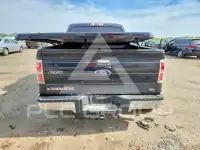 2010 Ford F-150 фото