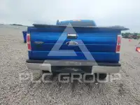 2010 Ford F-150 фото