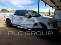 2010 Ford F-150 photo
