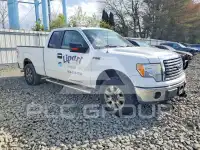 2010 Ford F-150 фото