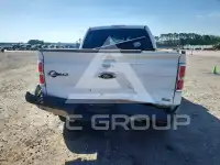 2010 Ford F-150 фото