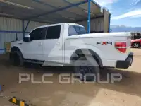 2010 Ford F-150 photo