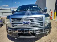 2010 Ford F-150 фото