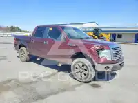 2010 Ford F-150 фото