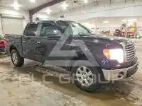 2010 Ford F-150 фото