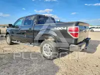 2010 Ford F-150 фото