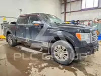 2010 Ford F-150 photo