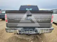 2010 Ford F-150 фото