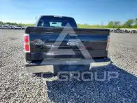 2010 Ford F-150 фото