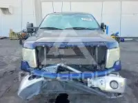 2010 Ford F-150 photo