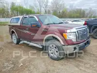 2010 Ford F-150 photo
