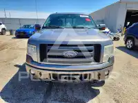 2010 Ford F-150 фото