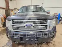 2010 Ford F-150 photo