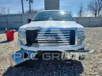 2010 Ford F-150 photo