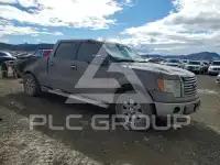 2010 Ford F-150 photo