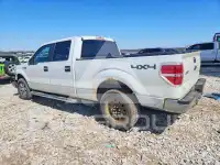 2010 Ford F-150 photo