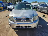 2010 Ford ESCAPE photo