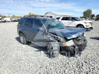 2010 Ford ESCAPE фото