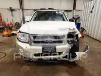 2010 Ford ESCAPE photo