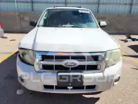 2010 Ford ESCAPE фото