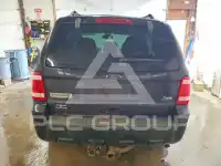 2010 Ford ESCAPE photo