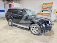 2010 Ford ESCAPE photo