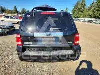 2010 Ford ESCAPE фото