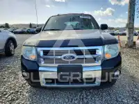 2010 Ford ESCAPE фото