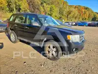 2010 Ford ESCAPE photo