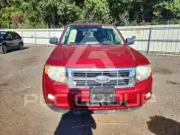 2010 Ford ESCAPE photo