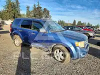 2010 Ford ESCAPE photo