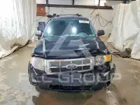 2010 Ford ESCAPE photo