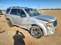 2010 Ford ESCAPE фото