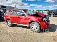 2010 Ford ESCAPE photo