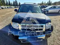 2010 Ford ESCAPE фото