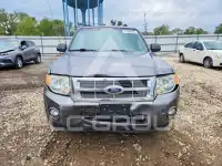 2010 Ford ESCAPE фото