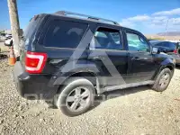 2010 Ford ESCAPE фото