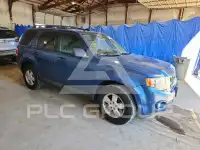 2010 Ford ESCAPE фото