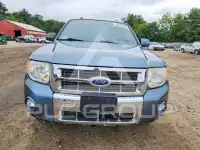2010 Ford ESCAPE фото