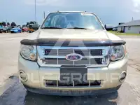 2010 Ford ESCAPE photo