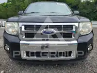 2010 Ford ESCAPE фото