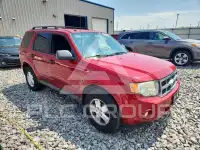 2010 Ford ESCAPE фото